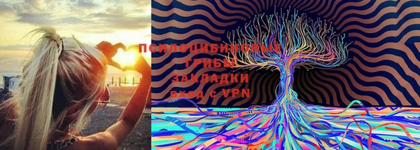молекула духа Баксан