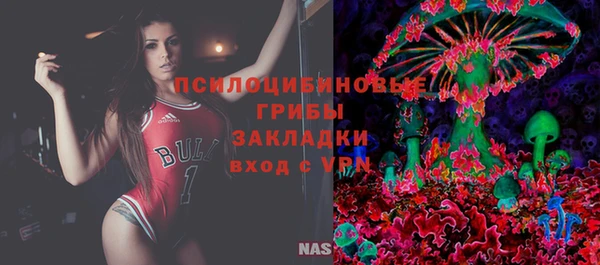 прущие грибы Снежногорск